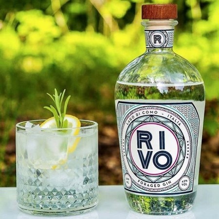 Rivo Acquista online Foraged Gin (50 cl) |