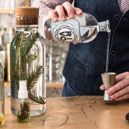 Rivo Acheter Foraged Gin (50 cl) en ligne |