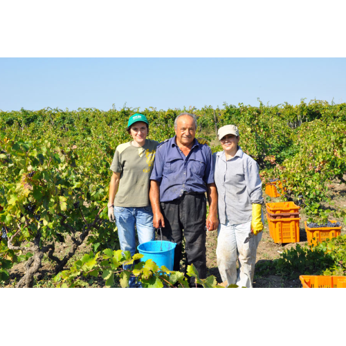 Assiade Riserva Primitivo DOP di Manduria 2017