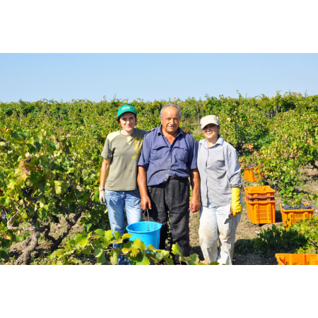 Assiade Riserva Primitivo DOP di Manduria 2017