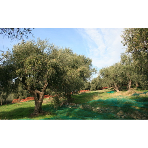 Frantoio Acquista Sugo arrabbiato (180g) | Kitchencorner