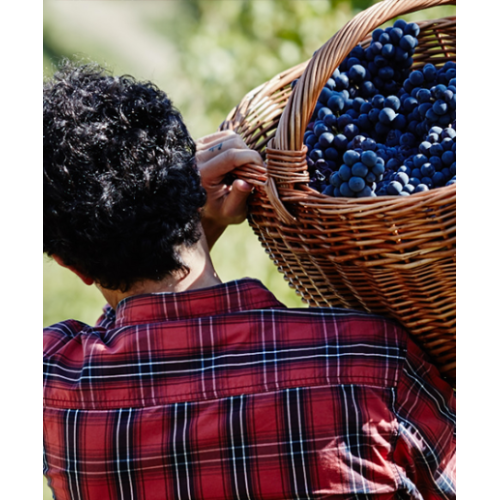 Acquista Liano Sangiovese-Cabernet Sauvignon Rubicone - Umberto Cesari (75 cl) | Kanela