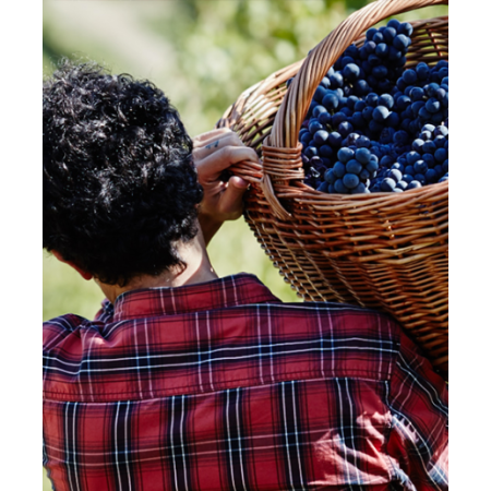 Acquista Liano Sangiovese-Cabernet Sauvignon Rubicone - Umberto Cesari (75 cl) | Kanela