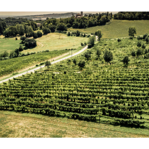 Acquista Liano Sangiovese-Cabernet Sauvignon Rubicone - Umberto Cesari (75 cl) | Kanela