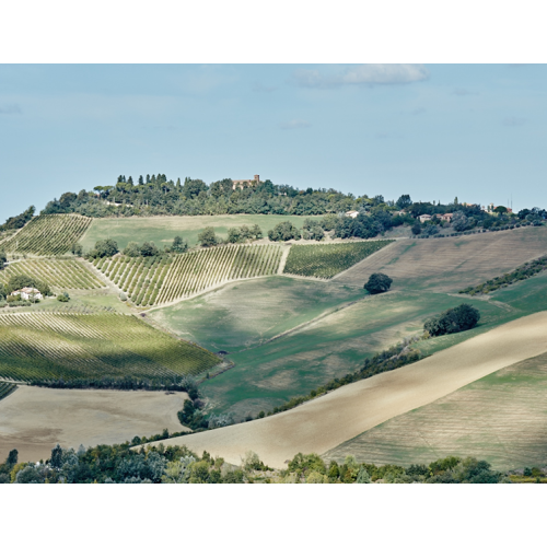 Acquista Liano Sangiovese-Cabernet Sauvignon Rubicone - Umberto Cesari (75 cl) | Kanela