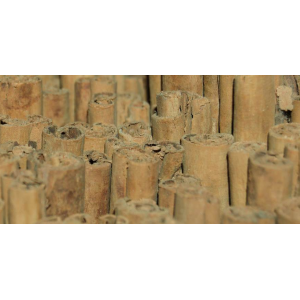 Pukka Pomme sauvage & cannelle Tisane bio (20 sachets) acheter en ligne | Kitchencorner 2