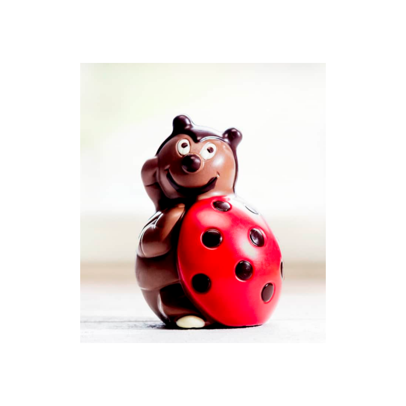 Aeschbach Chocolatier Chocolate Lucky Beetle (100g)