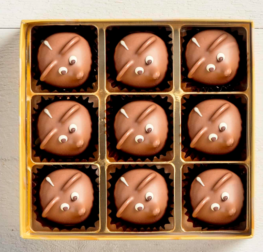 Image of Aeschbach Chocolatier Müsli 9er Box