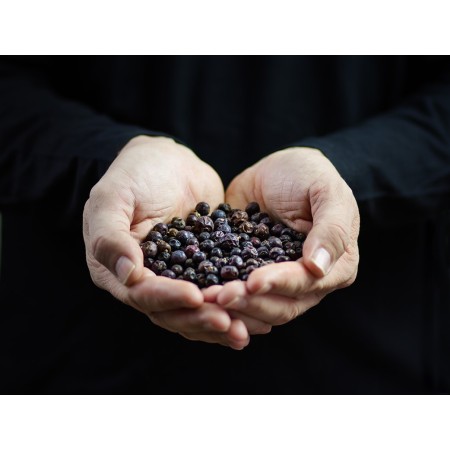 acquista SAIL GIN puro in miniatura (5cl) | Kitchencorner