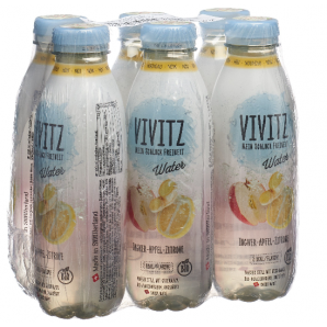 VIVITZ Water Ingwer-Apfel-Zitrone (6x5dl)