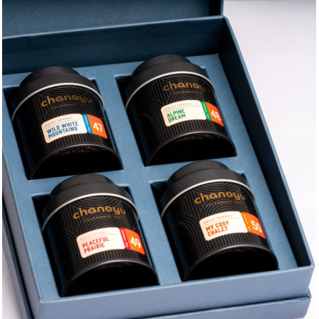 chanoyu Bio Tee Set Swiss Box (4-teilig) kaufen | Kitchencorner