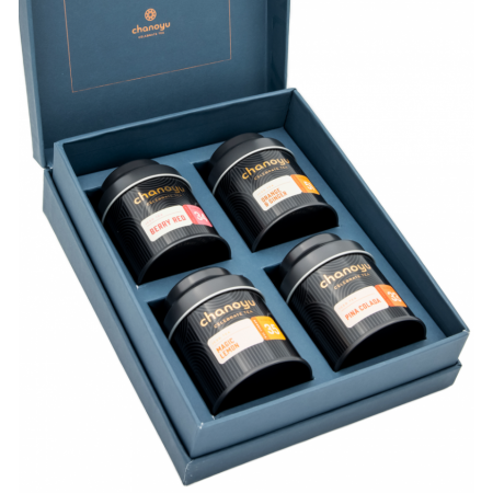 acquista il set di tè freddo biologico chanoyu Summer Vibes Box (4 pezzi) | Kitchencorner