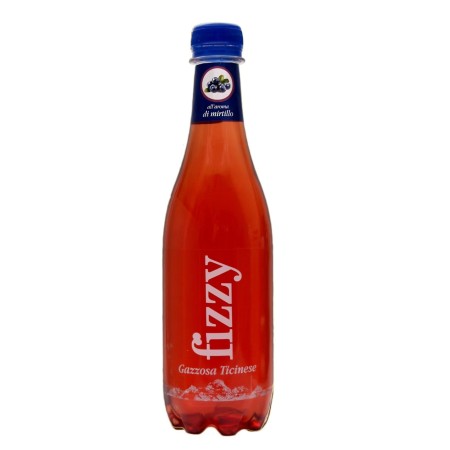 Fizzy Gazzose Ticinesi Mirtillo (6x460ml)