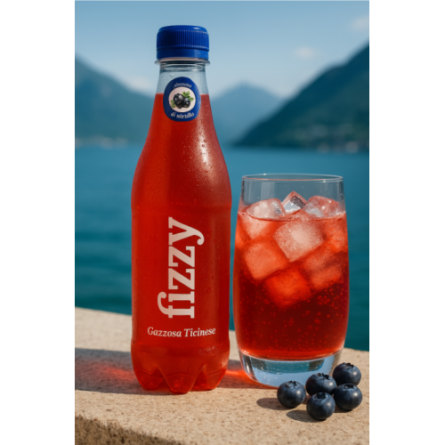 Fizzy Gazzose Ticinesi Mirtillo (6x460ml)