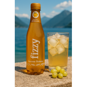Fizzy Gazzose Ticinesi Moscato (6x460ml) 2