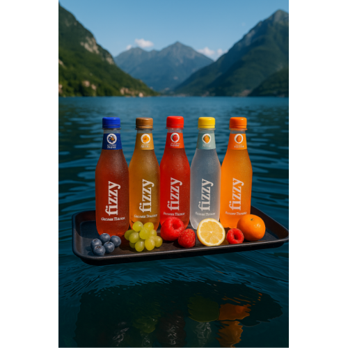 Fizzy Gazzose Ticinesi Mirtillo (6x460ml)