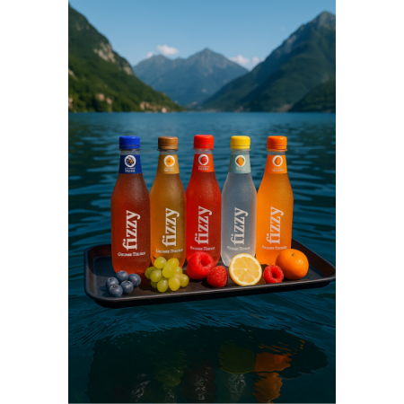 Fizzy Gazzose Ticinesi Limone (6x460ml)