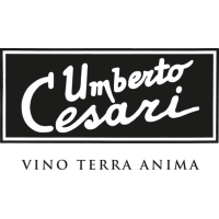 Umberto Cesari